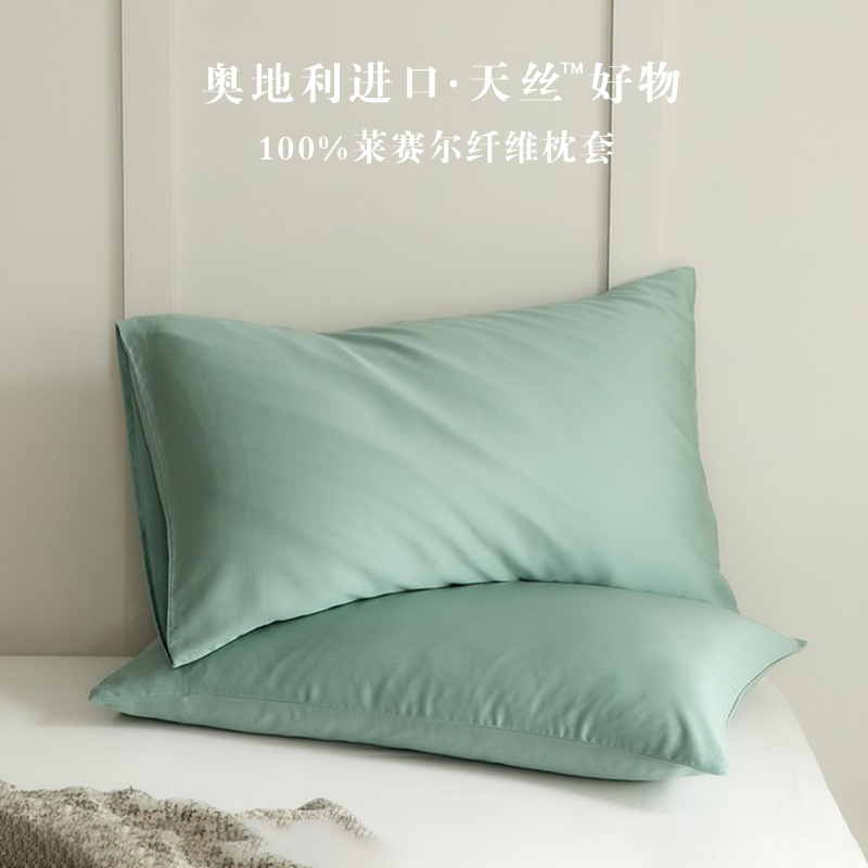 1012075 2件組丨60支蘭精天絲枕套純色簡約枕套 第 9 張